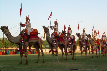 Marwar Festival in Jodhpur, Rajasthan